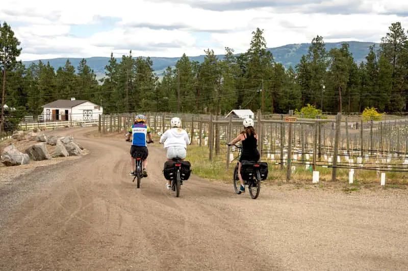 Small group of cyclists on e-bikes riding past Okanagan vineyards on the scenic wine trail between winery stops near Kelowna BC