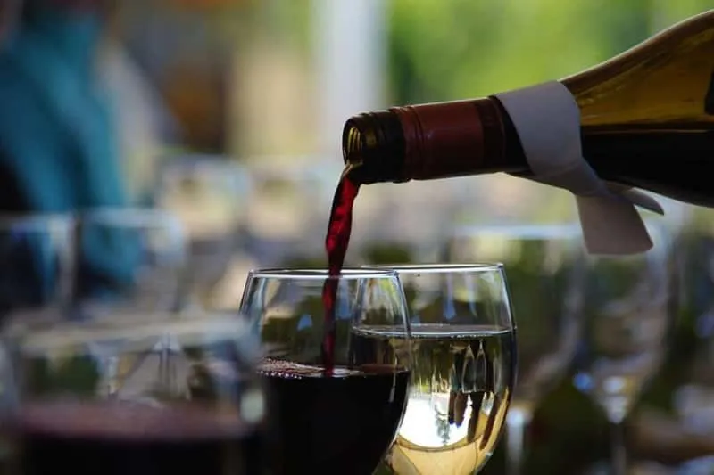 West Kelowna Full-Day Wine Tour with Tastings — Review